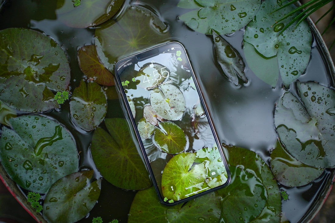 What Do You Do When Your Phone Gets Wet? | How to Dry a Wet Phone