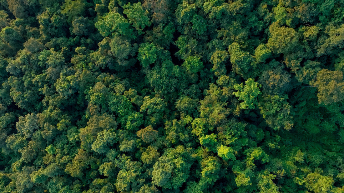 Sustainable Retail: Reduce Waste by 96%