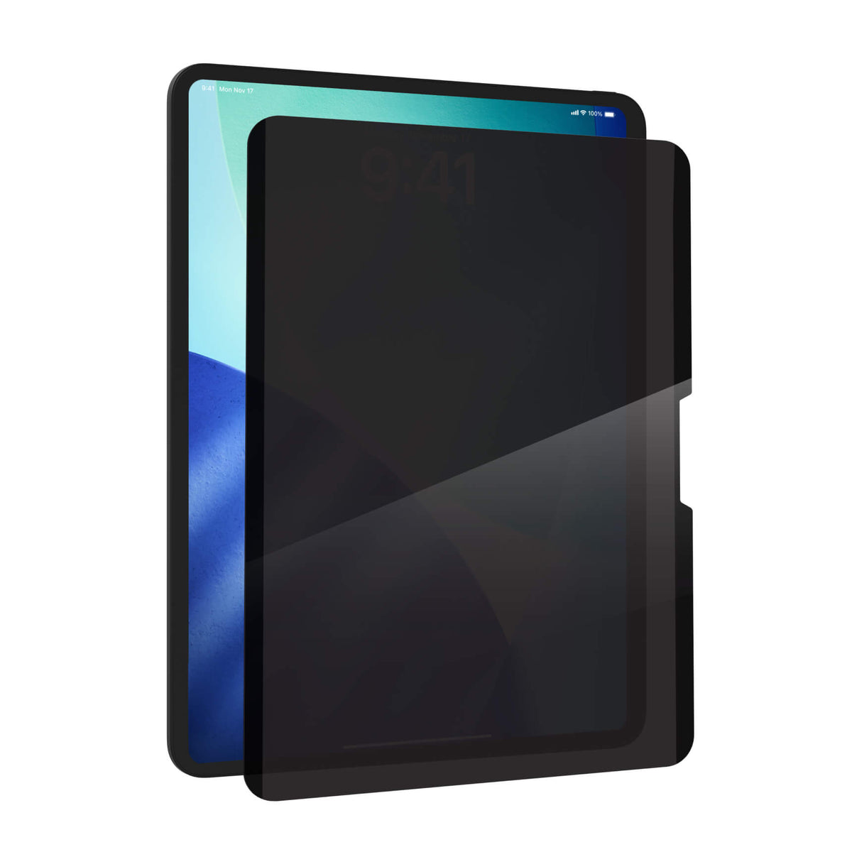 Removable Privacy Filter Apple iPad